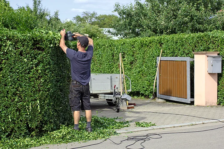 Professionelle Gartenarbeiten für gepflegte Grünanlagen und ansprechende Außenbereiche.